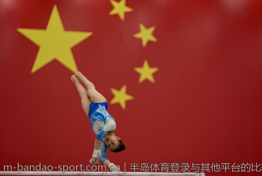 半岛体育登录与其他平台的比较