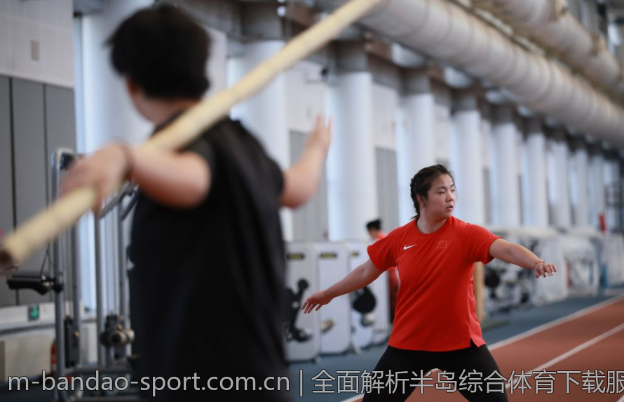 全面解析半岛综合体育下载服务