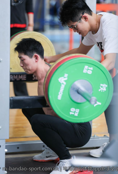 半岛综合体育app新手必读：快速入门指南