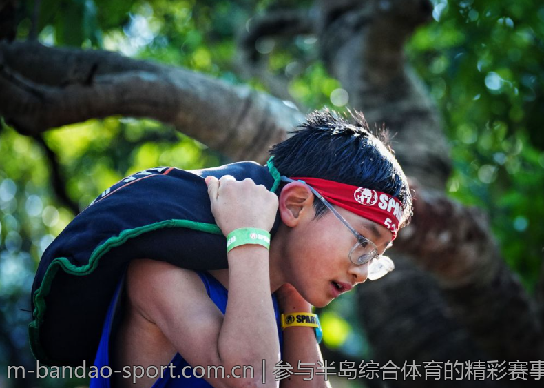 参与半岛综合体育的精彩赛事